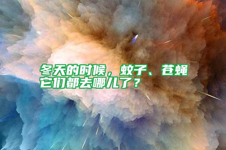 冬天的時候,蚊子、蒼蠅它們都去哪兒了?