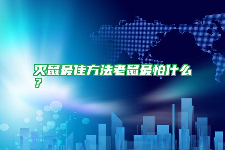 滅鼠最佳方法老鼠最怕什么？
