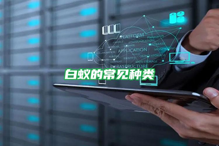 白蟻的常見(jiàn)種類(lèi)