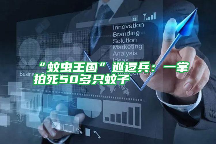“蚊蟲(chóng)王國(guó)”巡邏兵:一掌拍死50多只蚊子