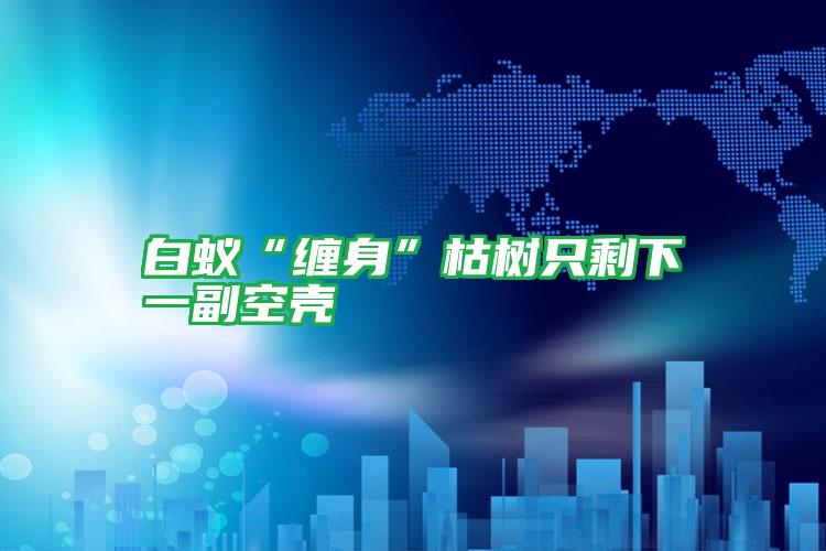 白蟻“纏身”枯樹(shù)只剩下一副空殼