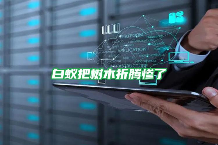 白蟻把樹(shù)木折騰慘了