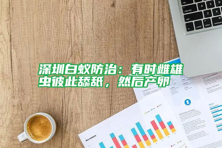 深圳白蟻防治：有時雌雄蟲彼此舔舐，然后產(chǎn)卵
