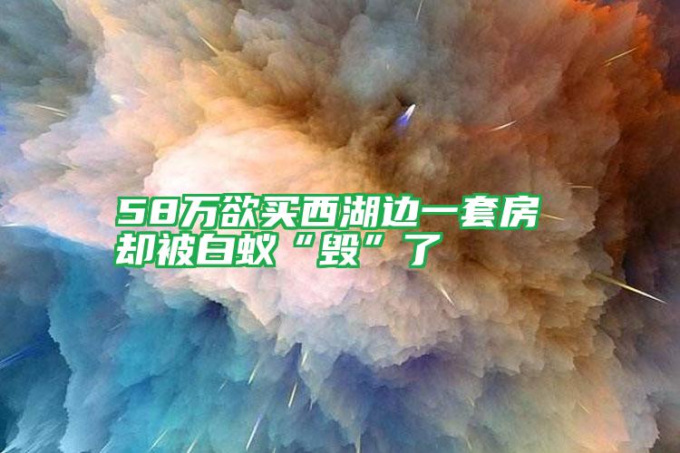 58萬(wàn)欲買(mǎi)西湖邊一套房 卻被白蟻“毀”了