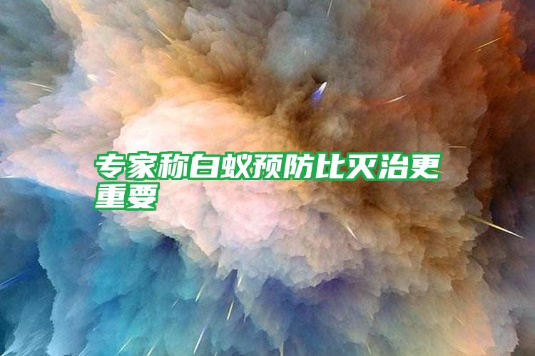 專(zhuān)家稱(chēng)白蟻預(yù)防比滅治更重要