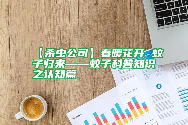 【殺蟲公司】春暖花開 蚊子歸來——蚊子科普知識之認知篇
