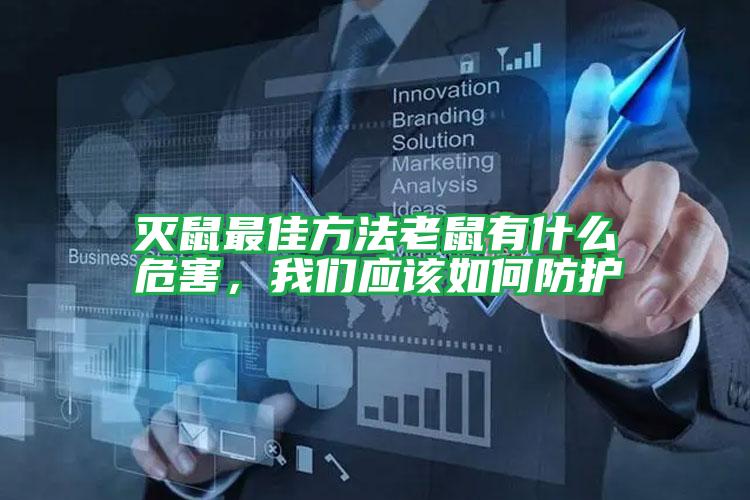 滅鼠最佳方法老鼠有什么危害，我們應(yīng)該如何防護(hù)