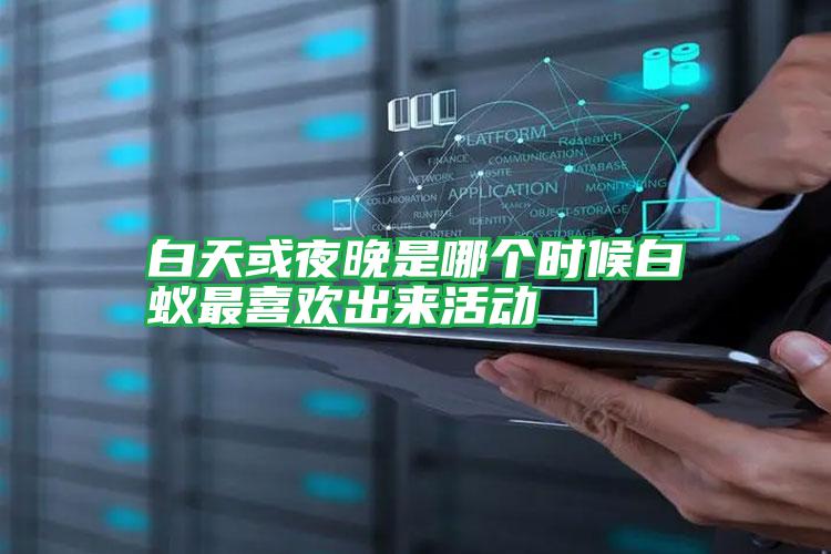 白天或夜晚是哪個時候白蟻?zhàn)钕矚g出來活動