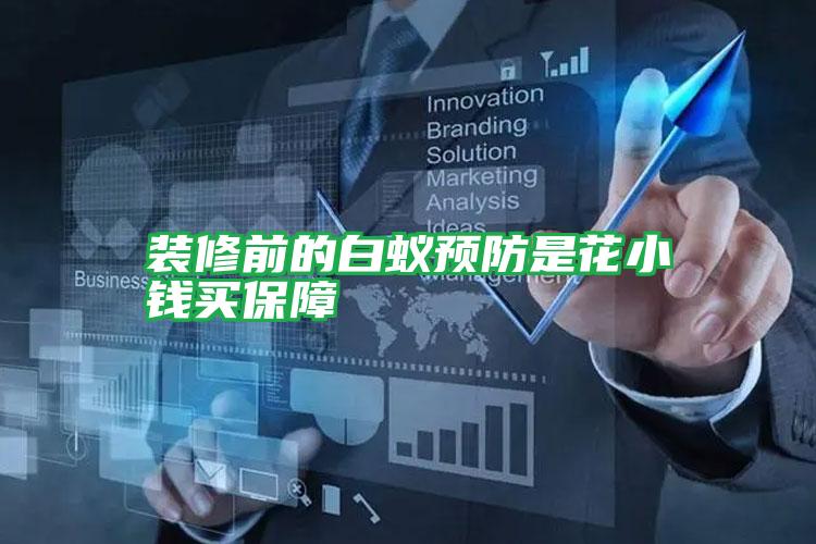 裝修前的白蟻預(yù)防是花小錢(qián)買(mǎi)保障
