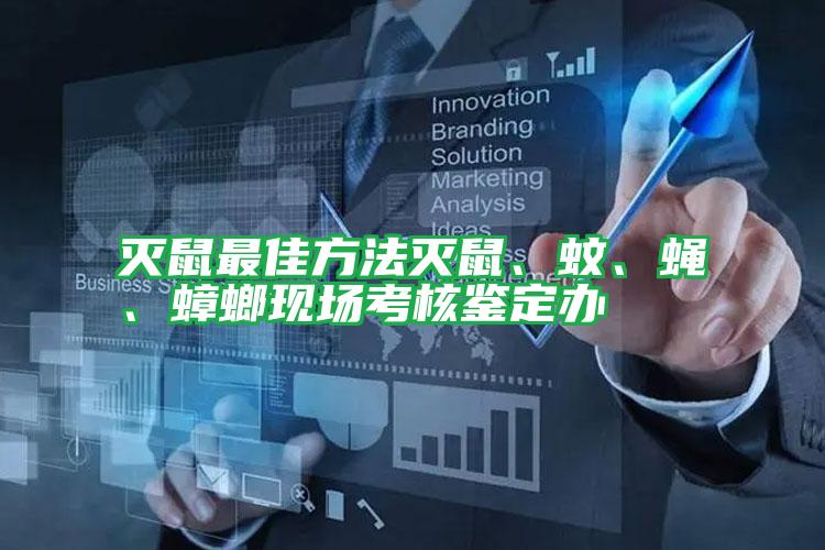 滅鼠最佳方法滅鼠、蚊、蠅、蟑螂現(xiàn)場(chǎng)考核鑒定辦