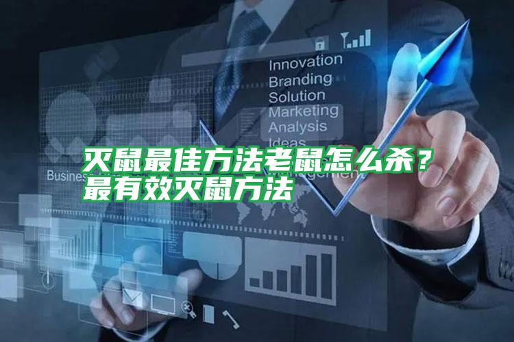 滅鼠最佳方法老鼠怎么殺？最有效滅鼠方法