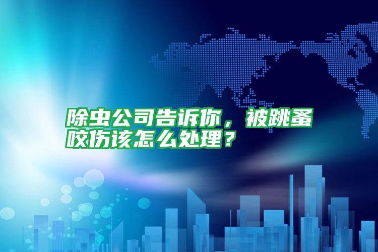 除蟲公司告訴你，被跳蚤咬傷該怎么處理？