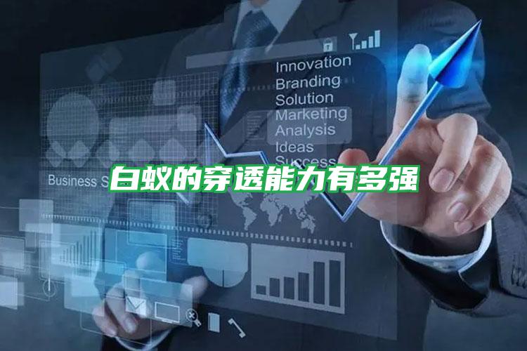 白蟻的穿透能力有多強(qiáng)