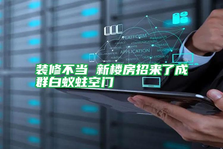 裝修不當(dāng) 新樓房招來(lái)了成群白蟻蛀空門