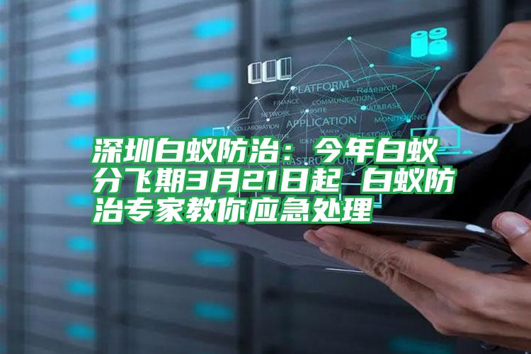 深圳白蟻防治：今年白蟻分飛期3月21日起 白蟻防治專家教你應(yīng)急處理