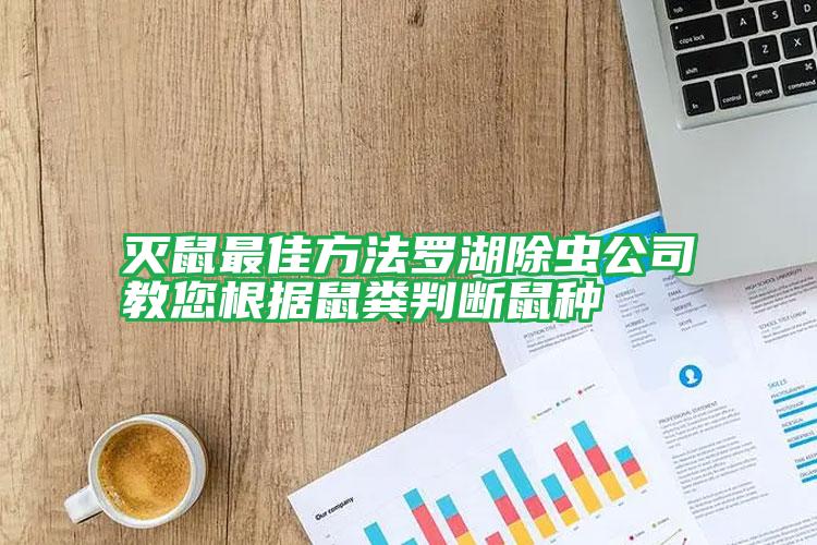 滅鼠最佳方法羅湖除蟲(chóng)公司教您根據(jù)鼠糞判斷鼠種