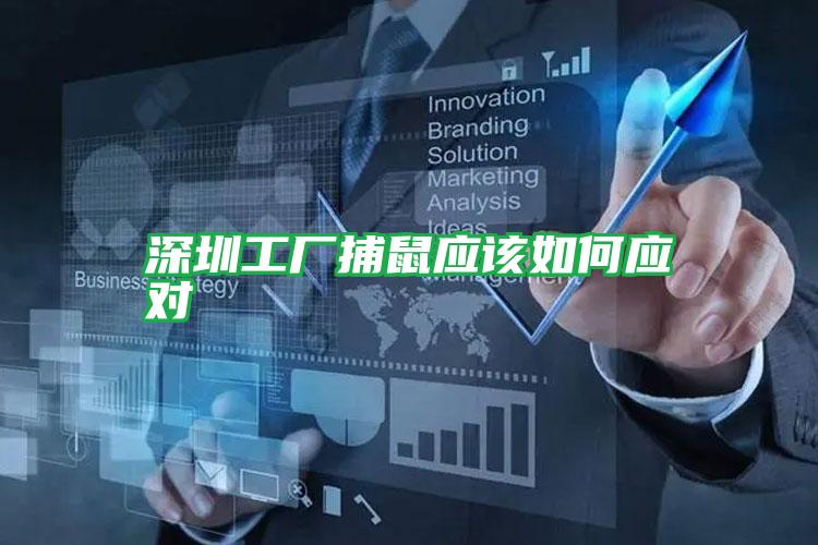 深圳工廠捕鼠應該如何應對
