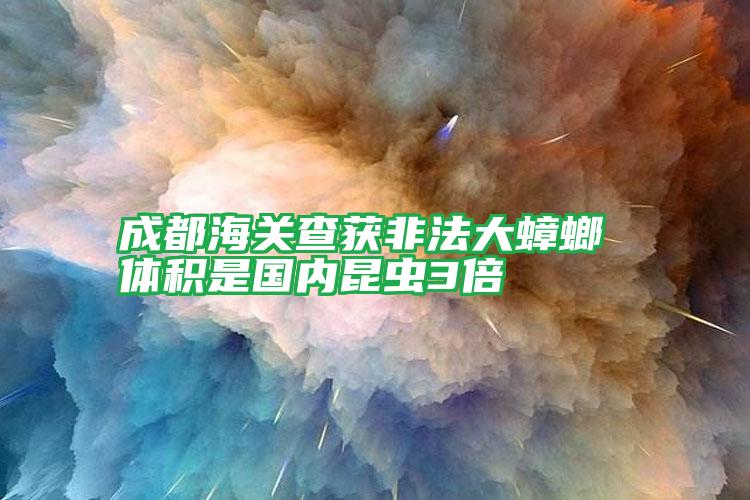 成都海關(guān)查獲非法大蟑螂 體積是國(guó)內(nèi)昆蟲3倍