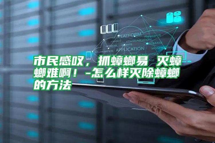 市民感嘆,抓蟑螂易 滅蟑螂難啊!-怎么樣滅除蟑螂的方法