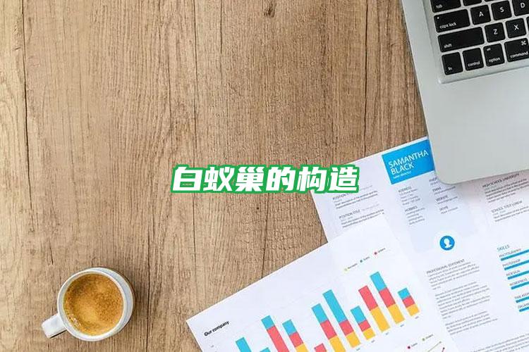 白蟻巢的構造