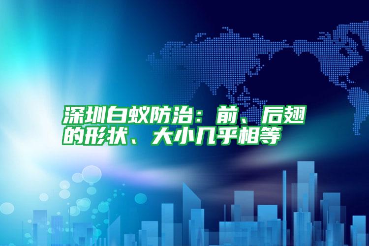 深圳白蟻防治：前、后翅的形狀、大小幾乎相等