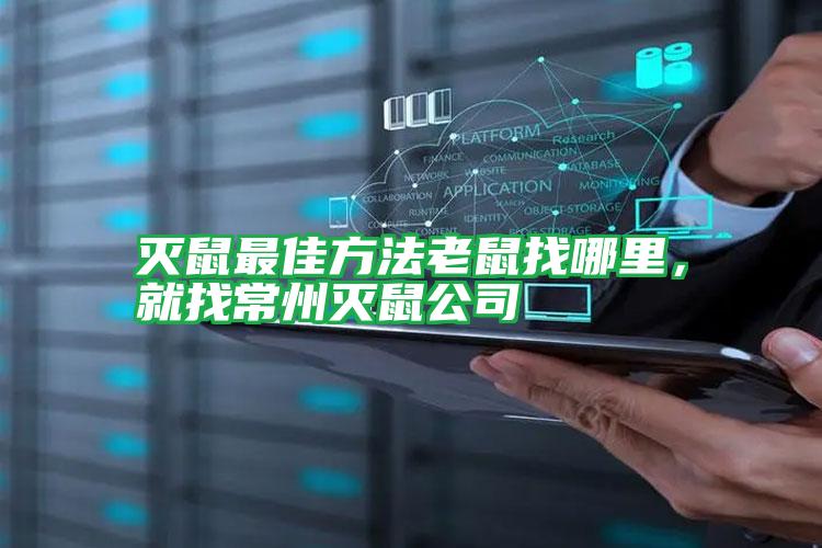 滅鼠最佳方法老鼠找哪里，就找常州滅鼠公司
