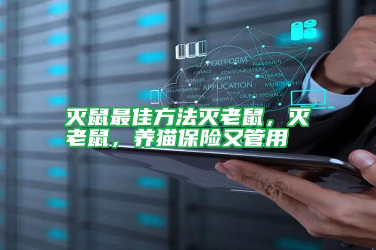 滅鼠最佳方法滅老鼠，滅老鼠，養(yǎng)貓保險又管用