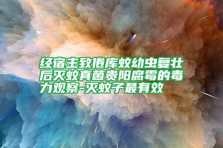 經(jīng)宿主致倦庫(kù)蚊幼蟲(chóng)復(fù)壯后滅蚊真菌貴陽(yáng)腐霉的毒力觀察-滅蚊子最有效