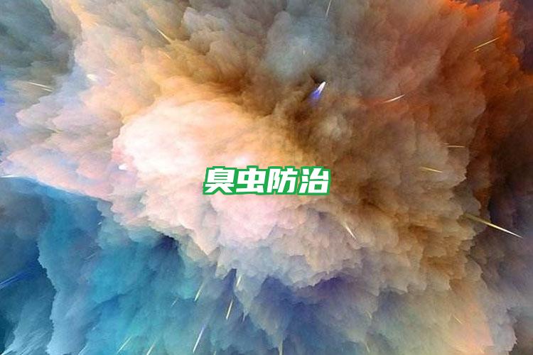 臭蟲(chóng)防治