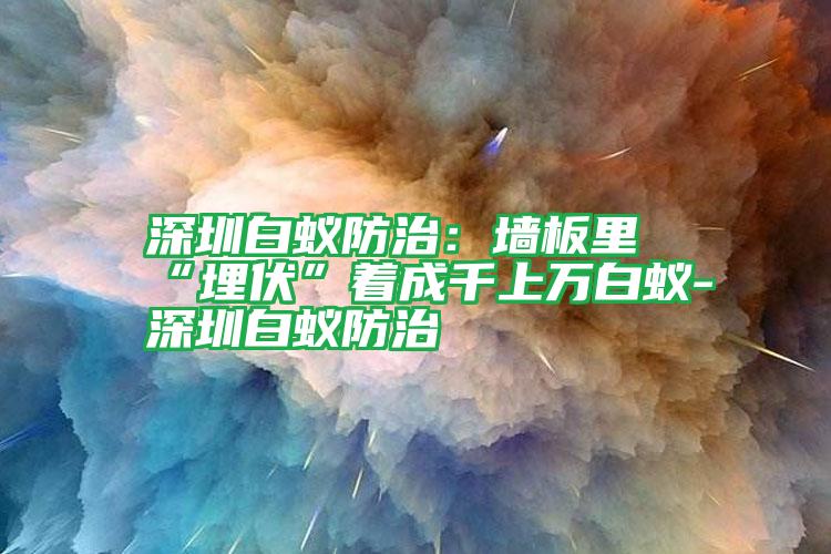 深圳白蟻防治：墻板里“埋伏”著成千上萬白蟻-深圳白蟻防治