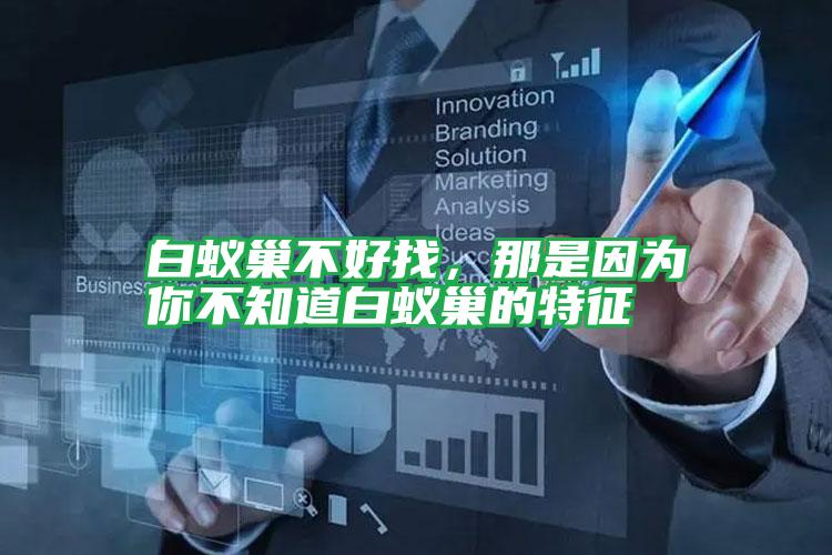 白蟻巢不好找,那是因為你不知道白蟻巢的特征