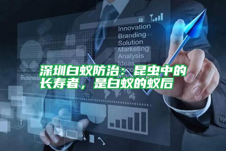 深圳白蟻防治：昆蟲中的長壽者，是白蟻的蟻后