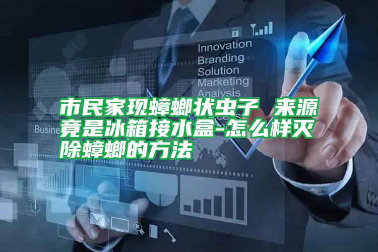 市民家現(xiàn)蟑螂狀蟲子 來(lái)源竟是冰箱接水盒-怎么樣滅除蟑螂的方法