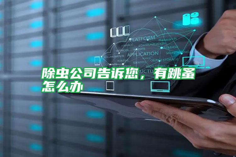 除蟲公司告訴您，有跳蚤怎么辦