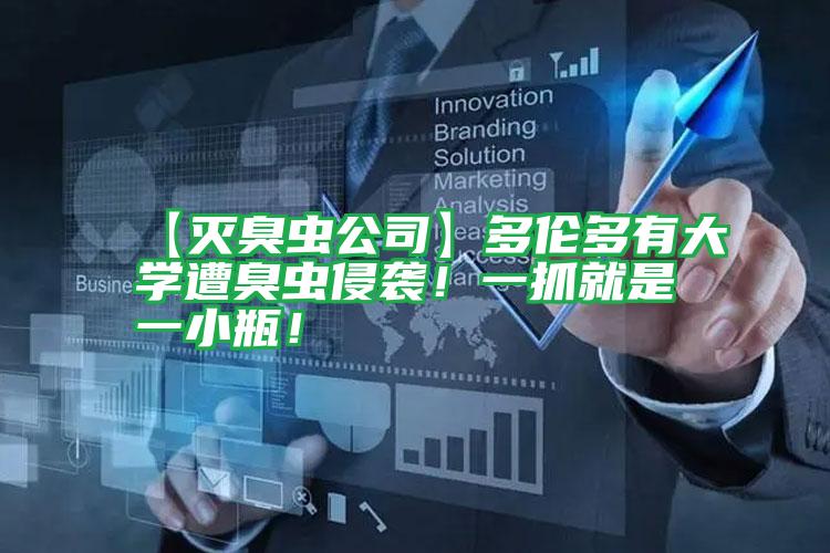【滅臭蟲公司】多倫多有大學(xué)遭臭蟲侵襲！一抓就是一小瓶！