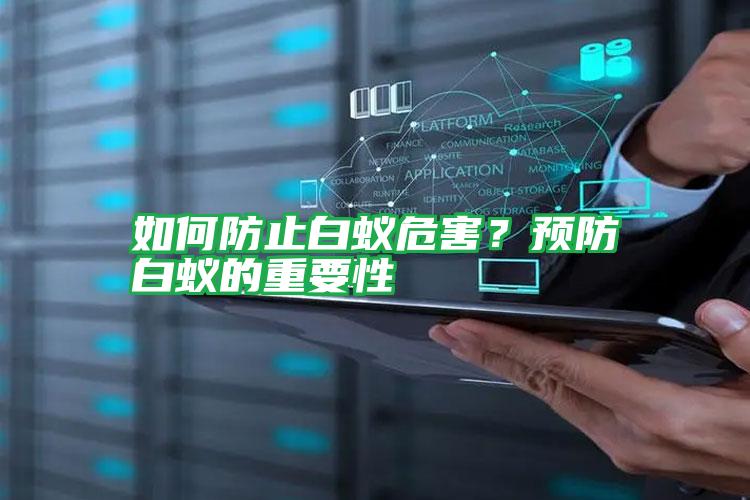 如何防止白蟻危害？預(yù)防白蟻的重要性