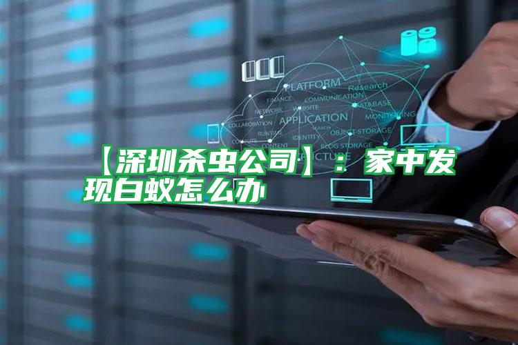 【深圳殺蟲(chóng)公司】:家中發(fā)現(xiàn)白蟻怎么辦