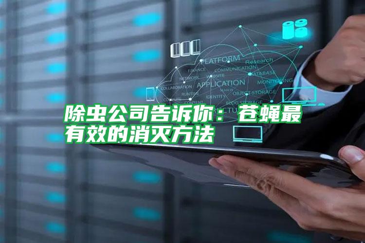 除蟲(chóng)公司告訴你:蒼蠅最有效的消滅方法