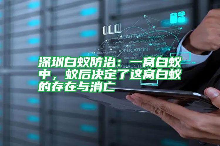 深圳白蟻防治：一窩白蟻中，蟻后決定了這窩白蟻的存在與消亡