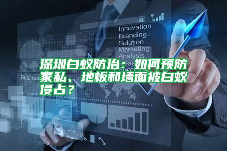 深圳白蟻防治：如何預(yù)防家私、地板和墻面被白蟻侵占？