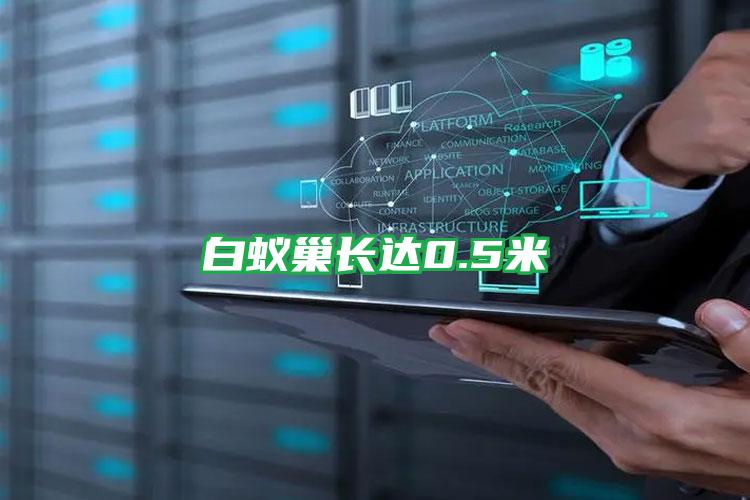 白蟻巢長(zhǎng)達(dá)0.5米