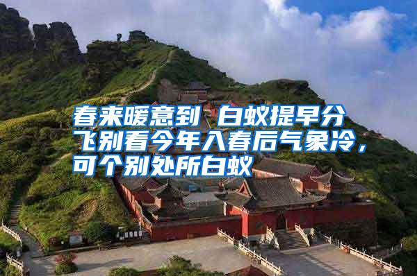 春來(lái)暖意到 白蟻提早分飛別看今年入春后氣象冷,可個(gè)別處所白蟻