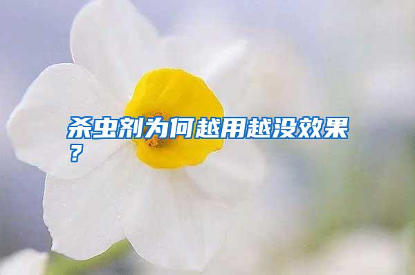 殺蟲劑為何越用越?jīng)]效果？