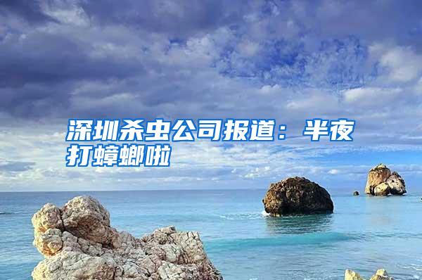 深圳殺蟲公司報道:半夜打蟑螂啦