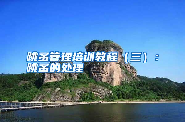 跳蚤管理培訓(xùn)教程(三):跳蚤的處理