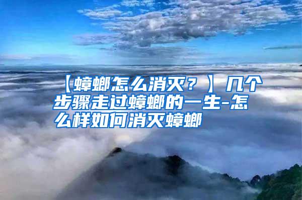 【蟑螂怎么消滅?】幾個(gè)步驟走過蟑螂的一生-怎么樣如何消滅蟑螂