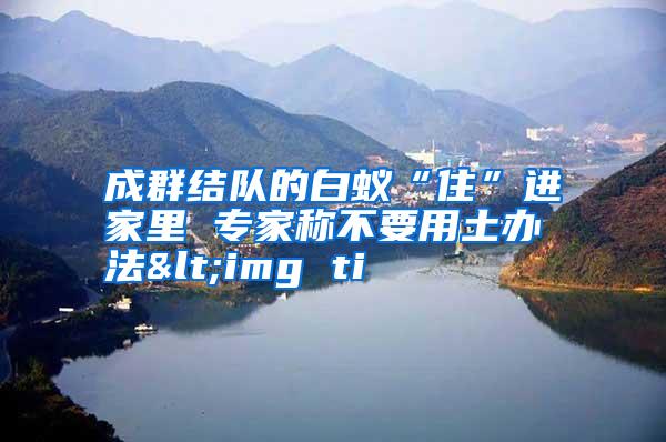 成群結(jié)隊的白蟻“住”進(jìn)家里 專家稱不要用土辦法<img ti