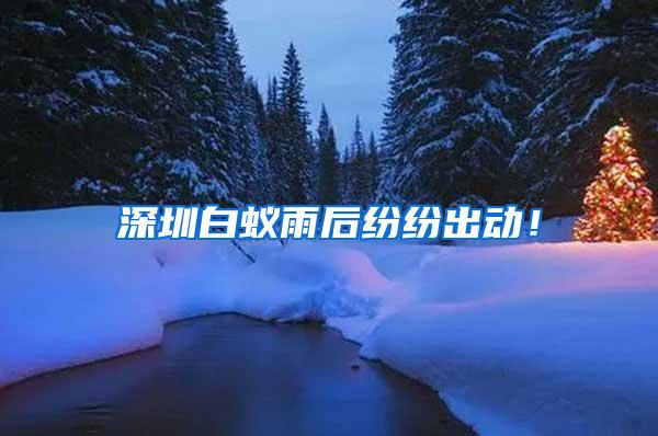 深圳白蟻雨后紛紛出動(dòng)！