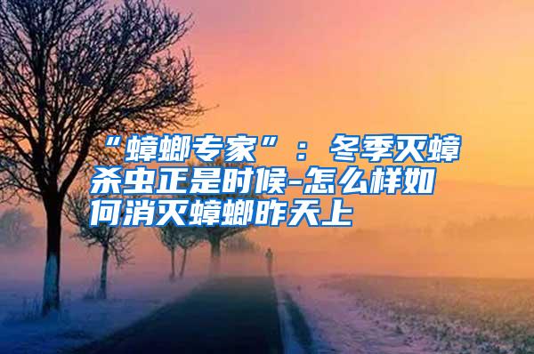 “蟑螂專家”:冬季滅蟑殺蟲正是時(shí)候-怎么樣如何消滅蟑螂昨天上