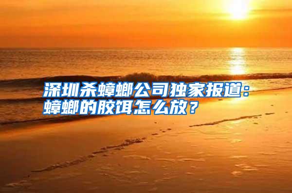 深圳殺蟑螂公司獨家報道:蟑螂的膠餌怎么放?